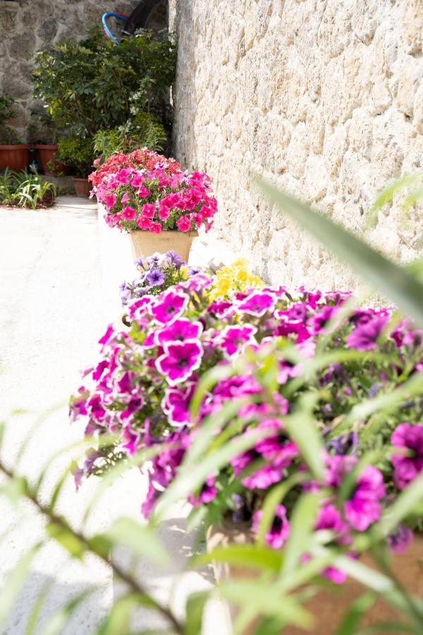 La Bella Vita - Luxury Holiday House Close To Corfu Town Potamós Dış mekan fotoğraf
